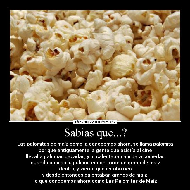 Sabias que...? - Las palomitas de maíz como la conocemos ahora, se llama palomita
por que antiguamente la gente que asistía al cine
llevaba palomas cazadas, y lo calentaban ahí para comerlas
cuando comían la paloma encontraron un grano de maíz
dentro, y vieron que estaba rico
y desde entonces calentaban granos de maíz 
lo que conocemos ahora como Las Palomitas de Maíz