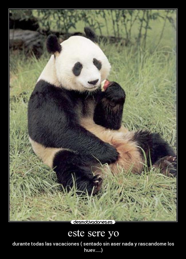este sere yo - durante todas las vacaciones ( sentado sin aser nada y rascandome los huev.....)