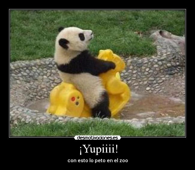 ¡Yupiiii! -