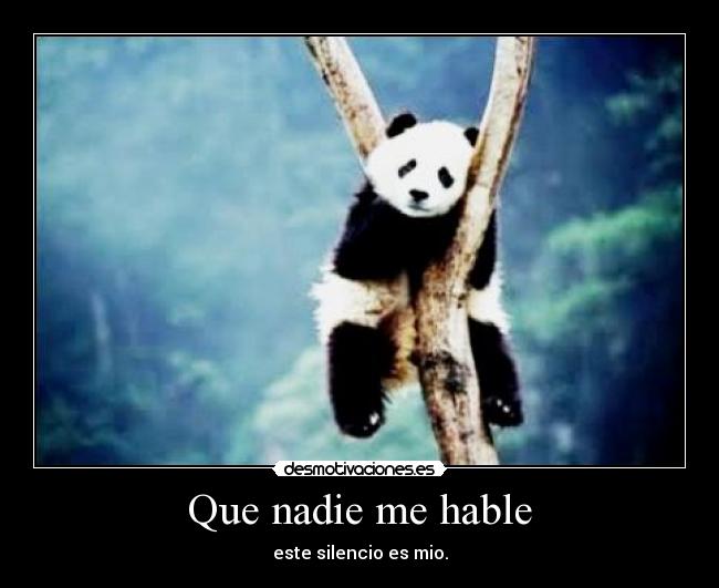 Que nadie me hable - 
