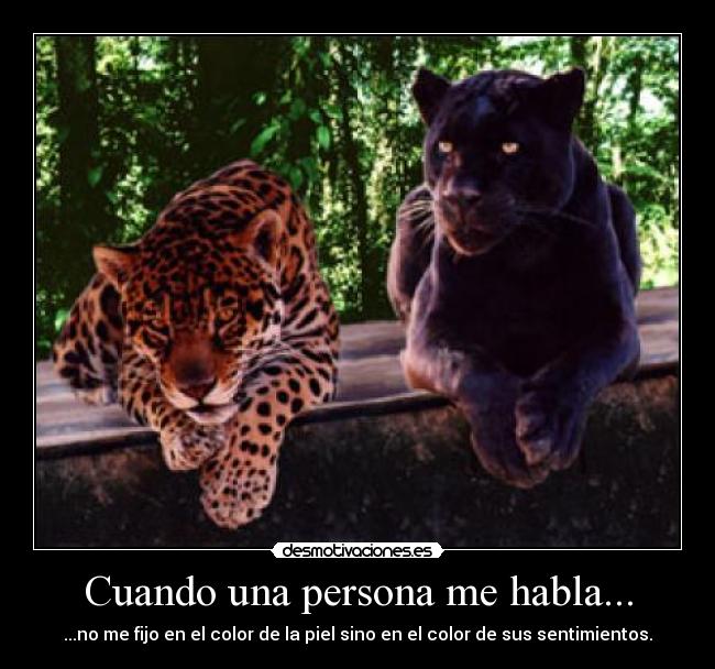 Cuando una persona me habla... - ...no me fijo en el color de la piel sino en el color de sus sentimientos.