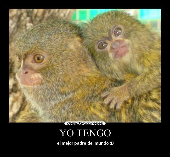 YO TENGO - el mejor padre del mundo :D