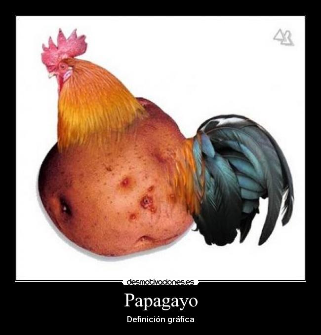 Papagayo - Definición gráfica