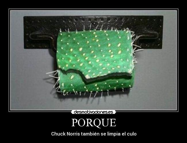 PORQUE - Chuck Norris también se limpia el culo