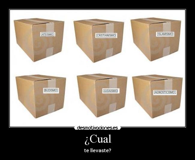 ¿Cual - te llevaste?