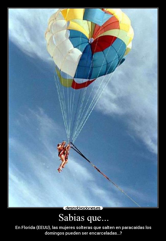 carteles sabias desmotivaciones