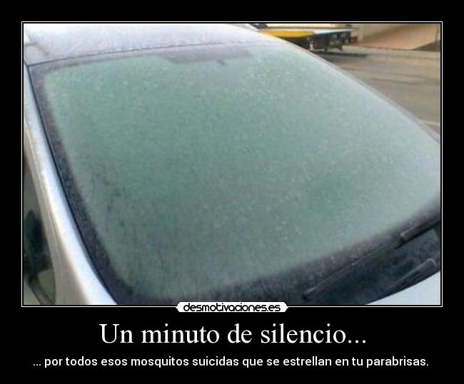 Un minuto de silencio... - ... por todos esos mosquitos suicidas que se estrellan en tu parabrisas.