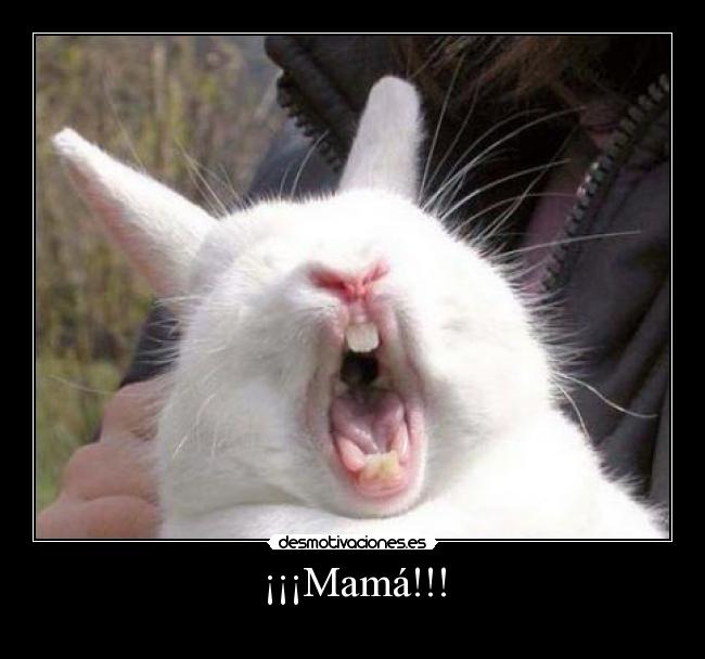 ¡¡¡Mamá!!! - 