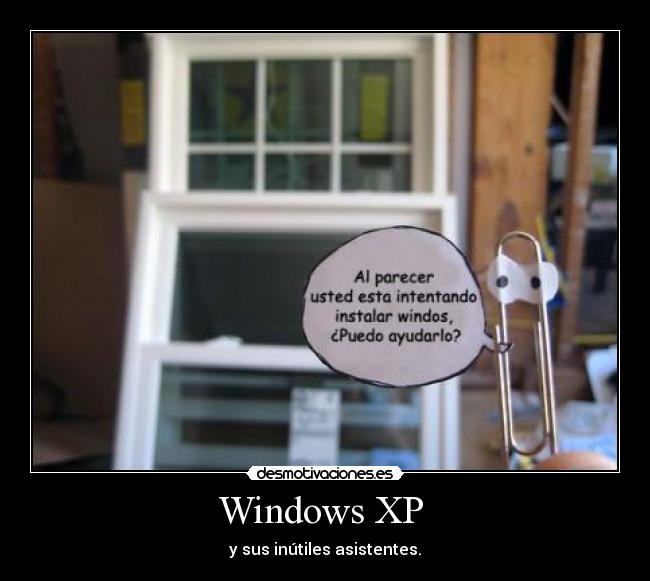 Windows XP  - 