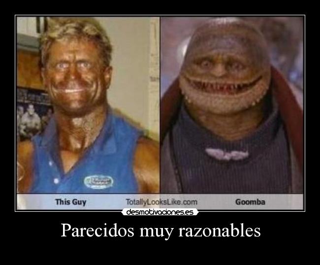 Parecidos muy razonables - 