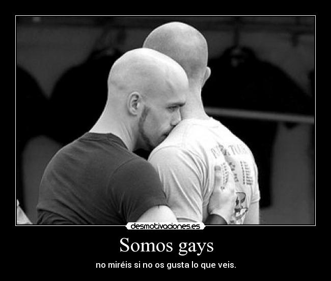 Somos gays -