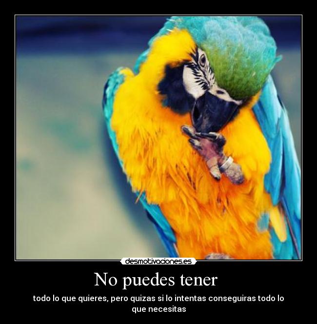 No puedes tener  - 