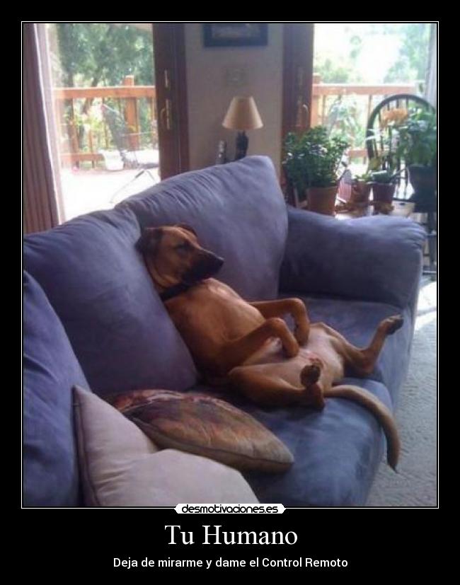Tu Humano - Deja de mirarme y dame el Control Remoto