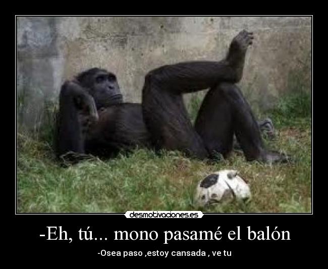 -Eh, tú... mono pasamé el balón -