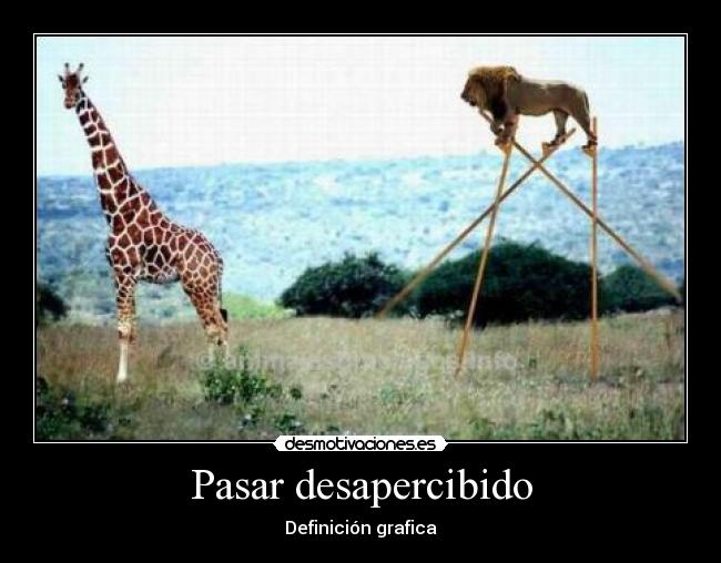 Pasar desapercibido - Definición grafica