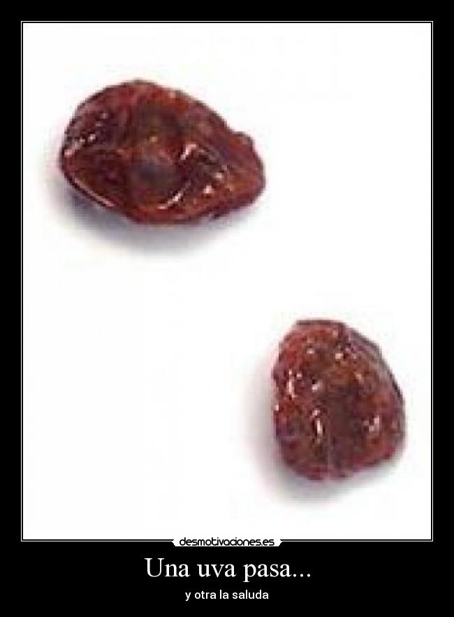 carteles uva pasa desmotivaciones