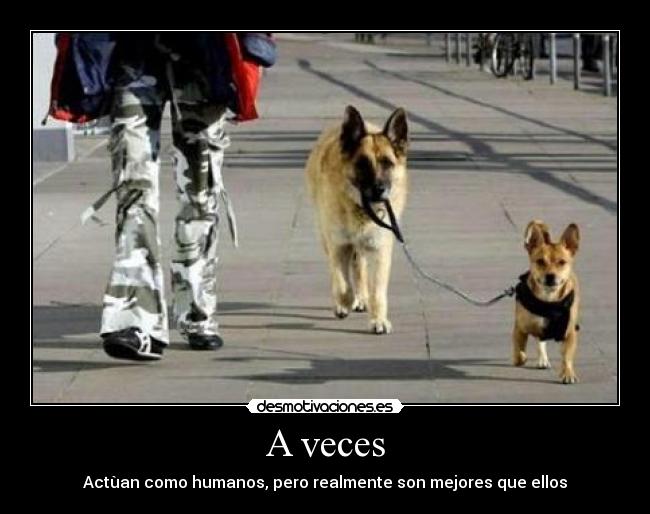 A veces -