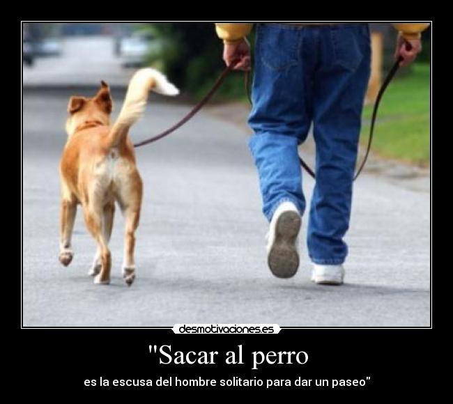 Sacar al perro - es la escusa del hombre solitario para dar un paseo