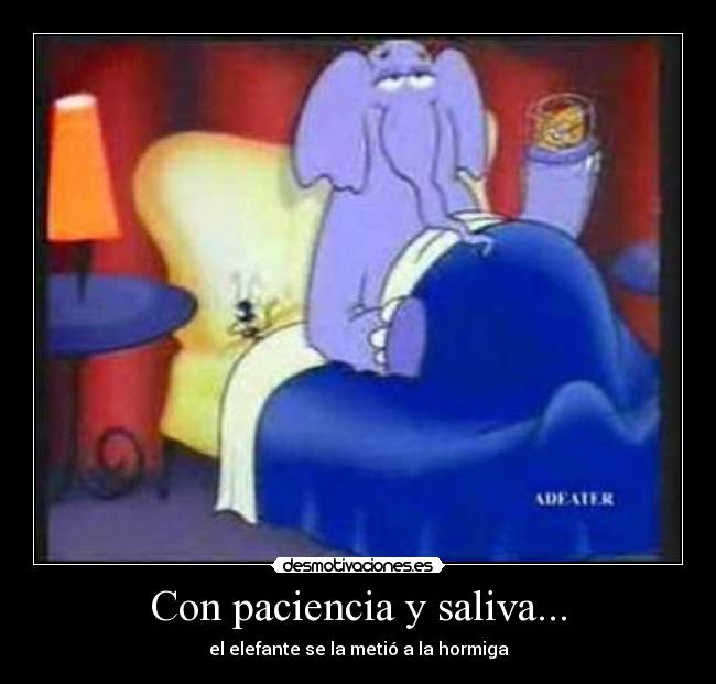 Con paciencia y saliva... -