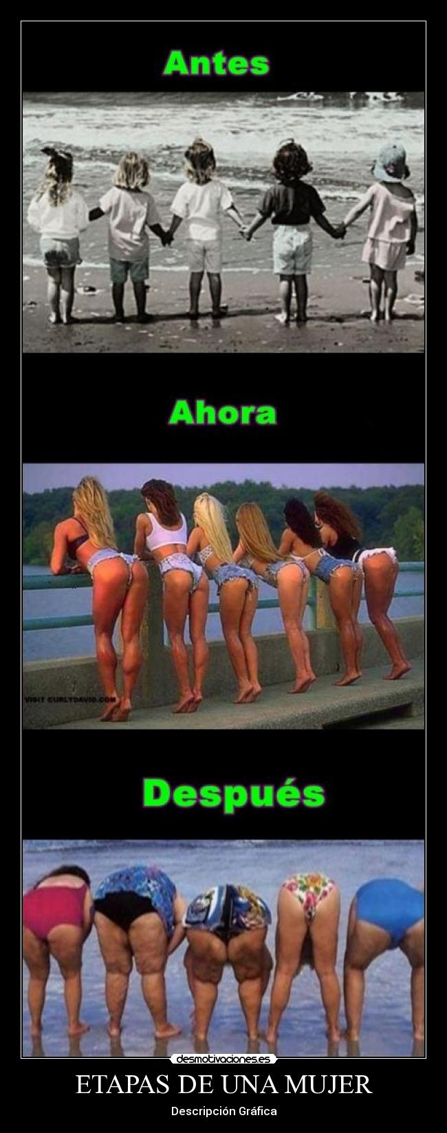 ETAPAS DE UNA MUJER - Descripción Gráfica