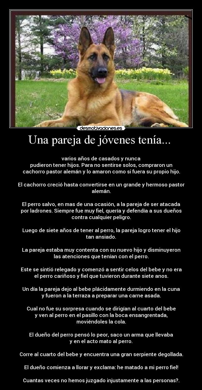 carteles pastor aleman desmotivaciones