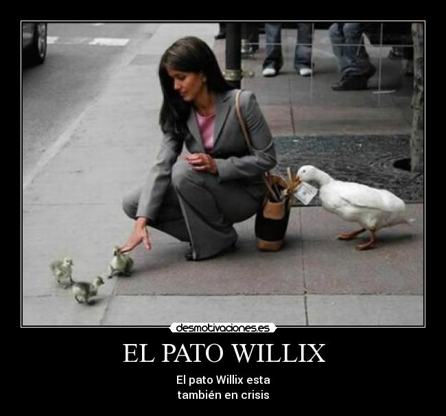 EL PATO WILLIX - 