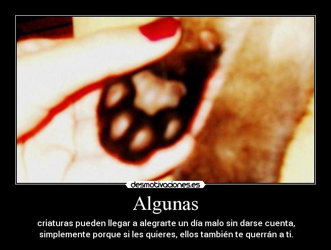 Algunas - 