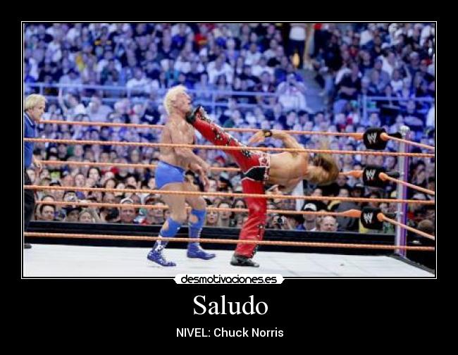 Saludo - 