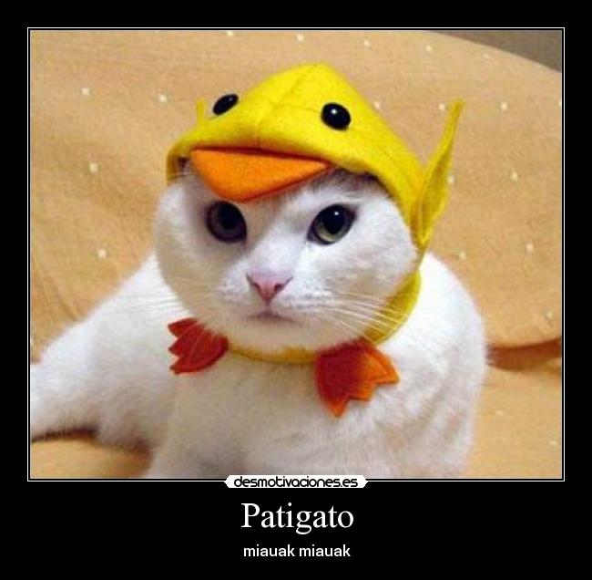 Patigato - 