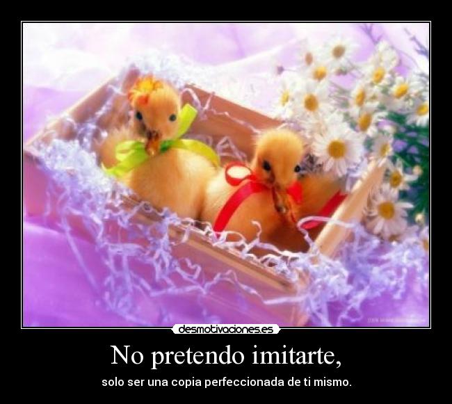No pretendo imitarte, - 