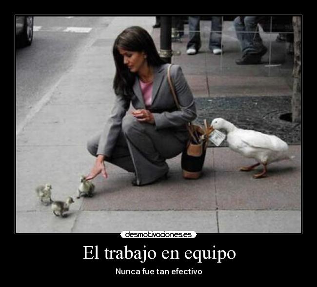 El trabajo en equipo - 