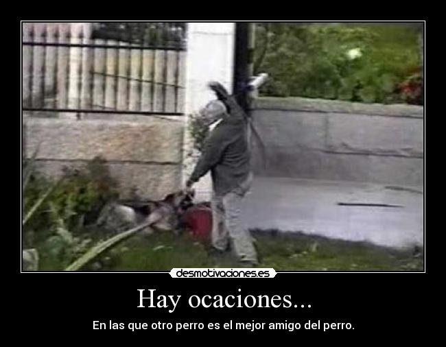 Hay ocaciones... - 