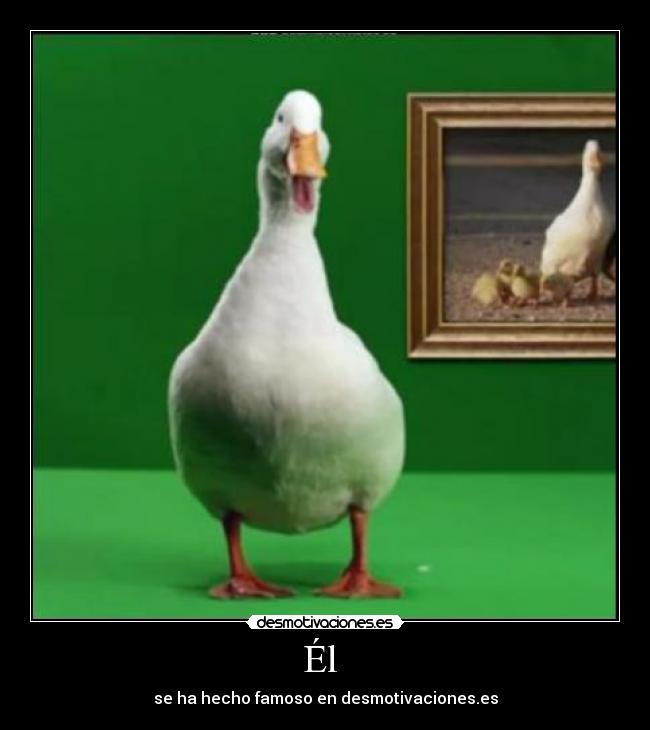 Él - se ha hecho famoso en desmotivaciones.es