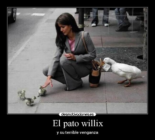 carteles el-pato-willix desmotivaciones