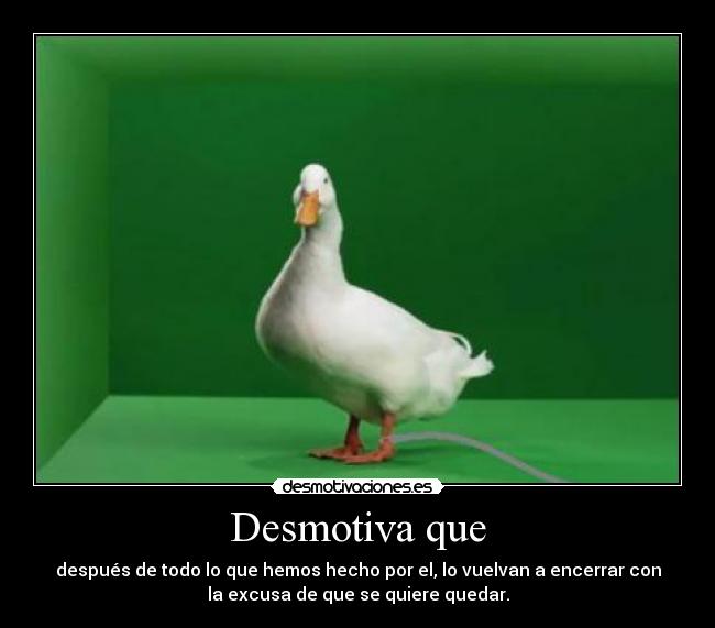 Desmotiva que - después de todo lo que hemos hecho por el, lo vuelvan a encerrar con
la excusa de que se quiere quedar.