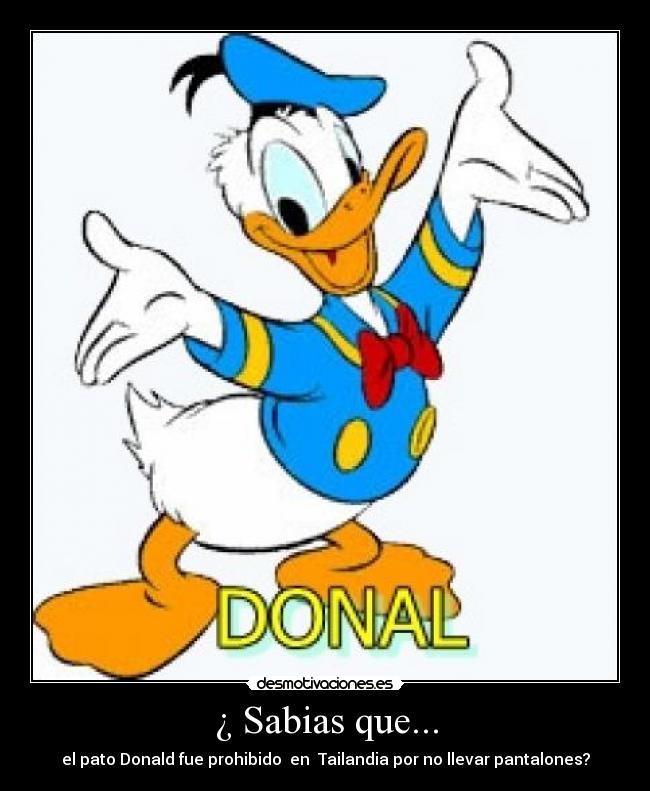 ¿ Sabias que... - el pato Donald fue prohibido en Tailandia por no llevar pantalones?