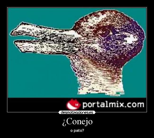 ¿Conejo - o pato?