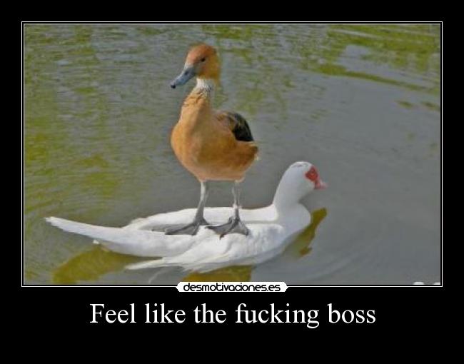 Feel like the fucking boss - 