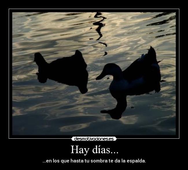 Hay días... - ...en los que hasta tu sombra te da la espalda.