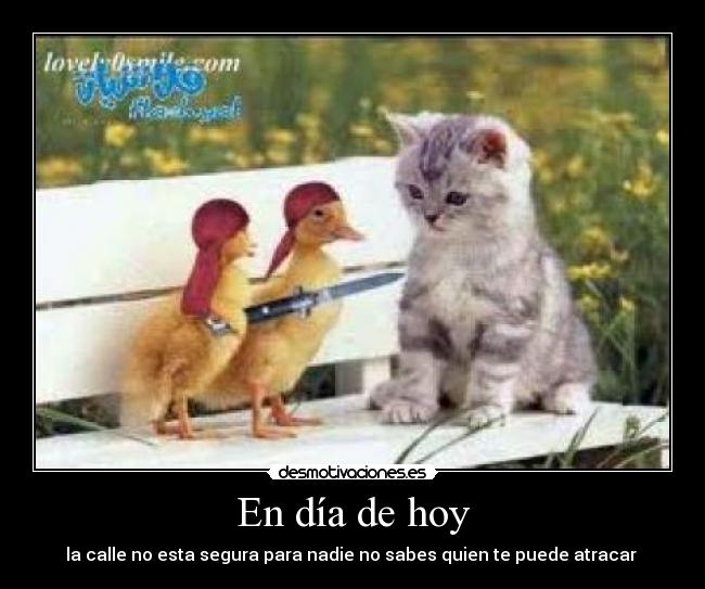 carteles dia hoy desmotivaciones