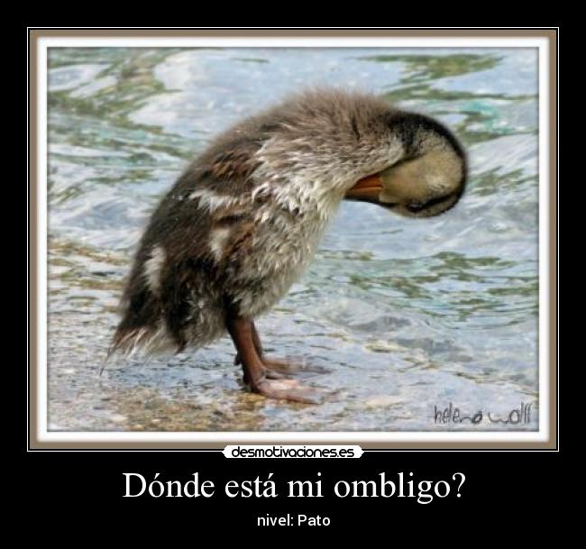 Dónde está mi ombligo? - 