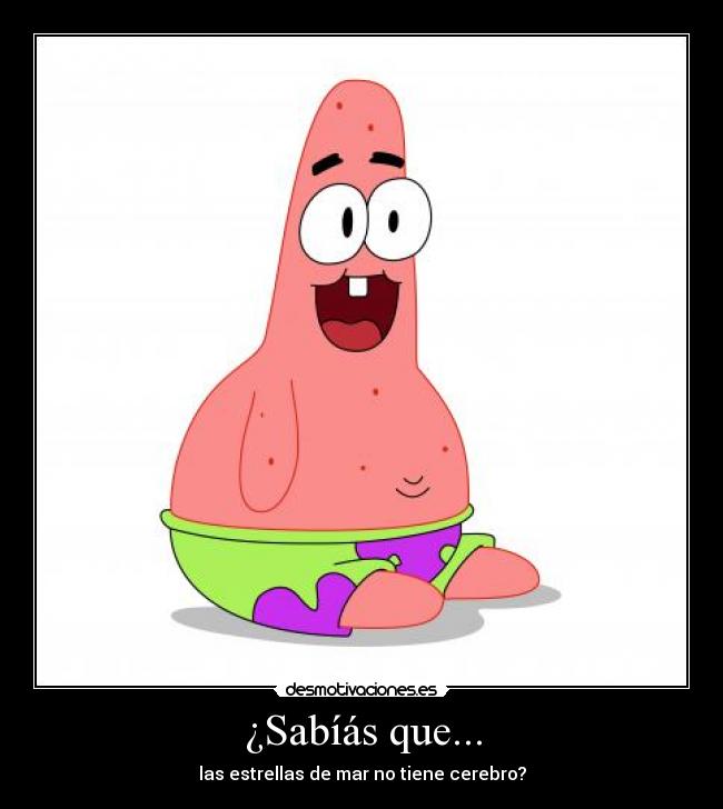 ¿Sabíás que... - las estrellas de mar no tiene cerebro?