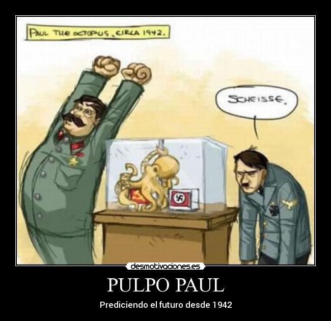 PULPO PAUL -