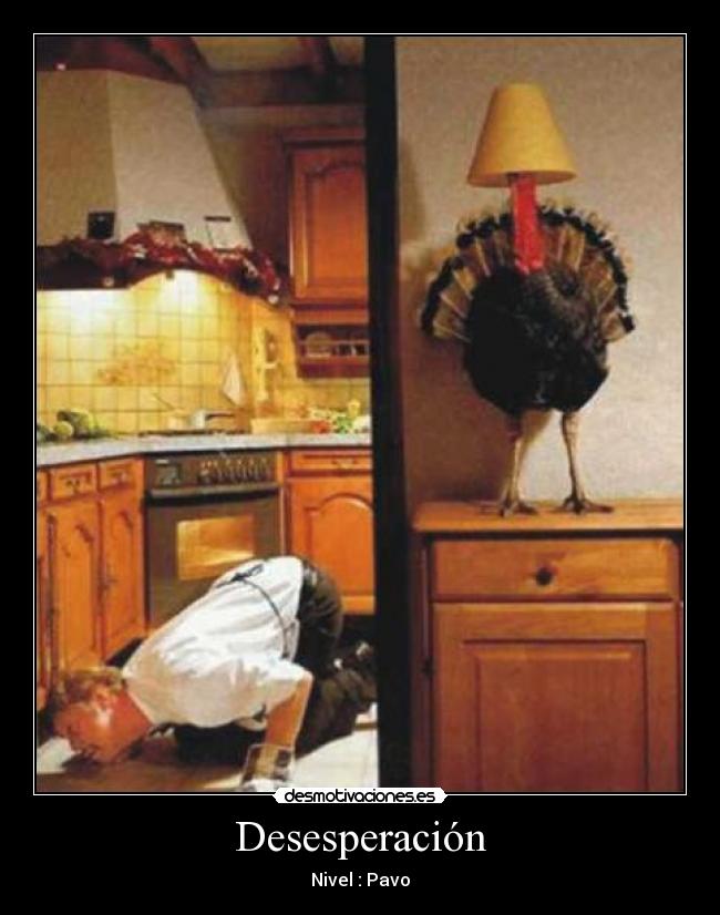 Desesperación - Nivel : Pavo
