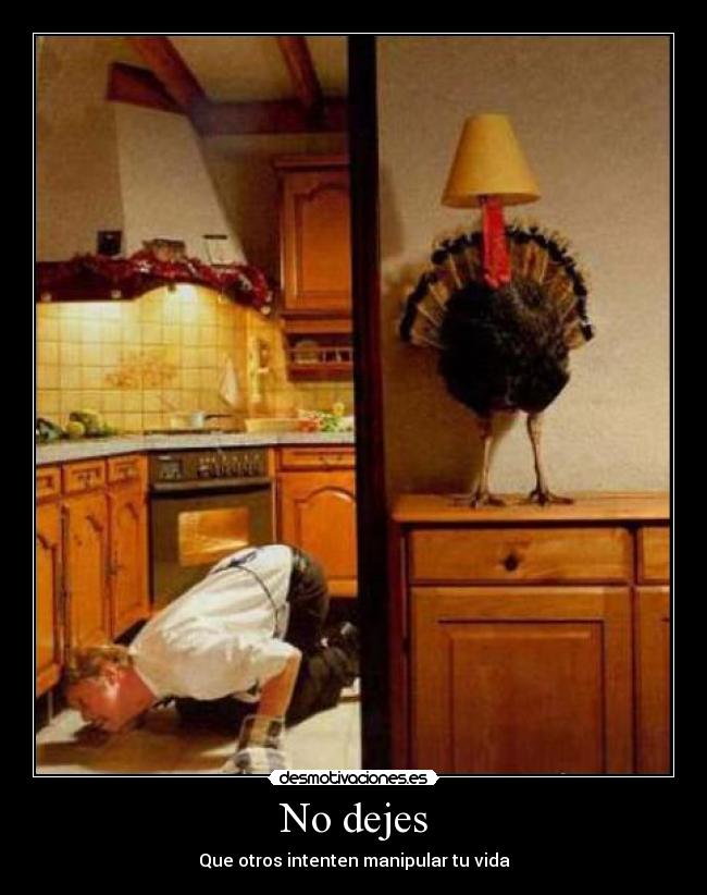 No dejes - 
