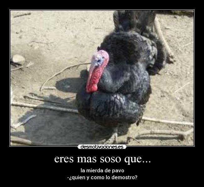 eres mas soso que... -