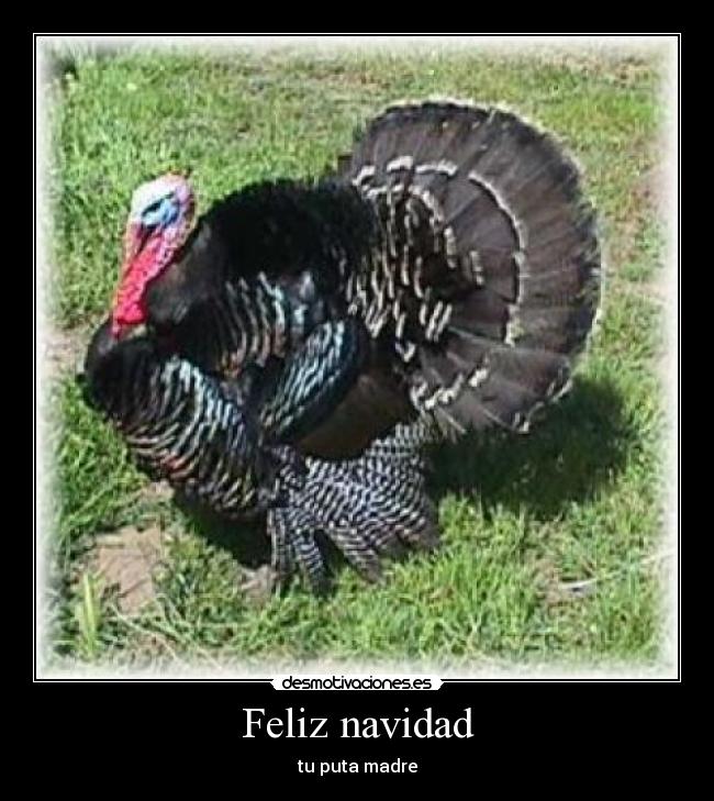 carteles navidad desmotivaciones
