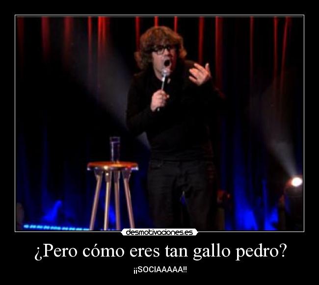 ¿Pero cómo eres tan gallo pedro? - ¡¡SOCIAAAAA!!