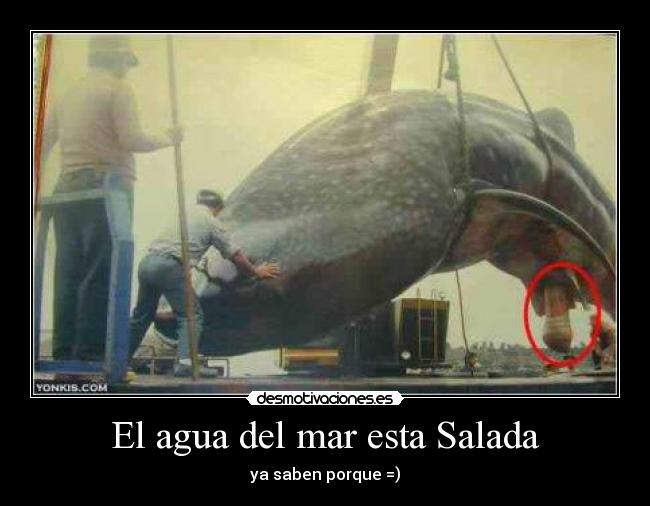 El agua del mar esta Salada -