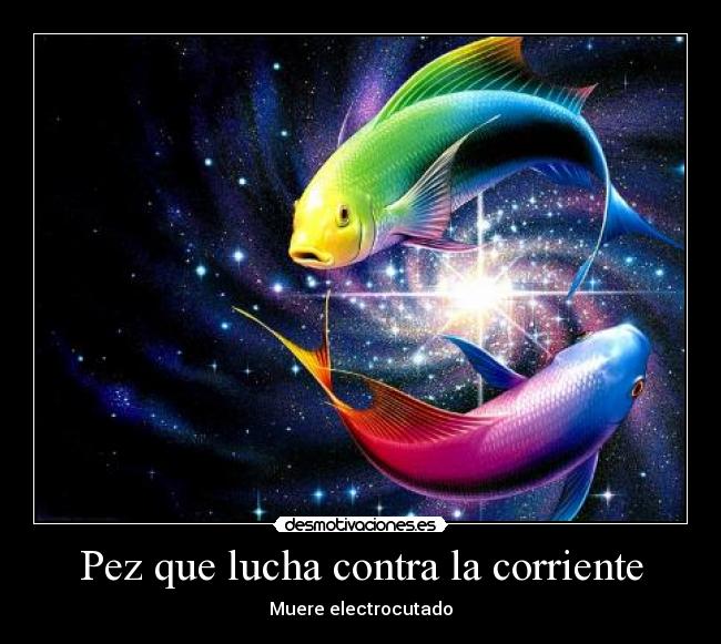 Pez que lucha contra la corriente - Muere electrocutado